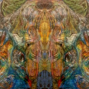 IMG_20200120_114653_711