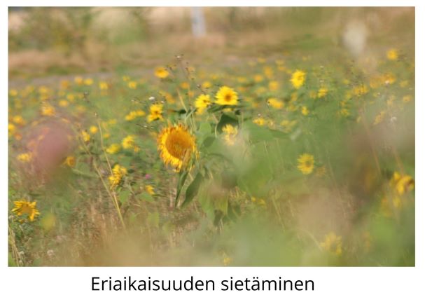 eriaikaisuuden sietäminen