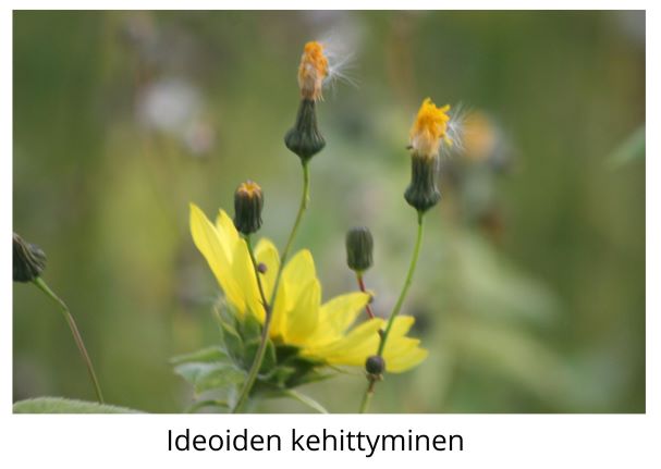 ideoiden kehittyminen