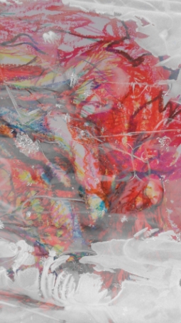 kauneudentaju_020816