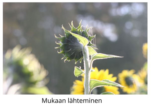 Mukaan lähteminen