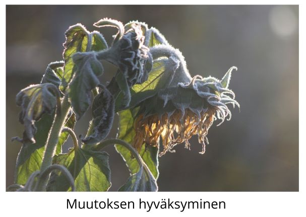 Muutoksen hyväksyminen