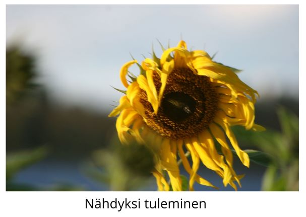 Nähdyksi tuleminen