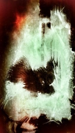 näkökulmanottokyky_uusi