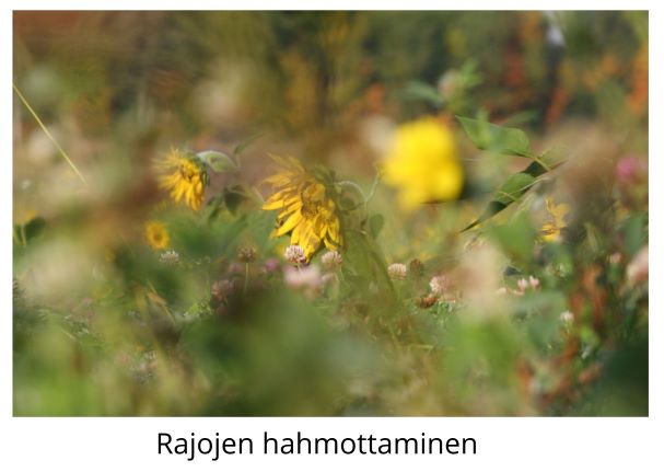 Rajojen hahmottaminen