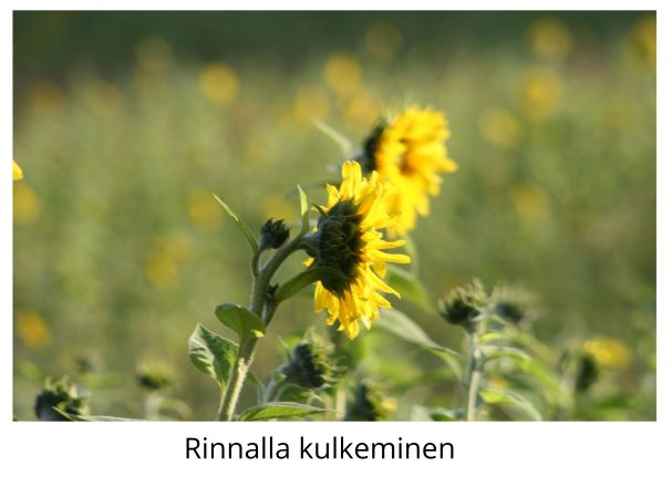 Rinnalla kulkeminen