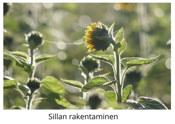 Sillan rakentaminen