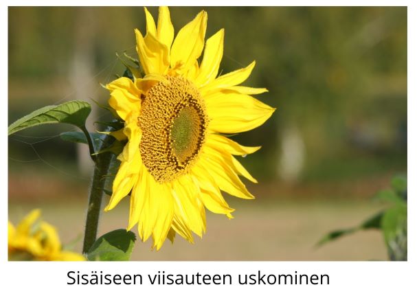 Sisäiseen viisauteen uskominen