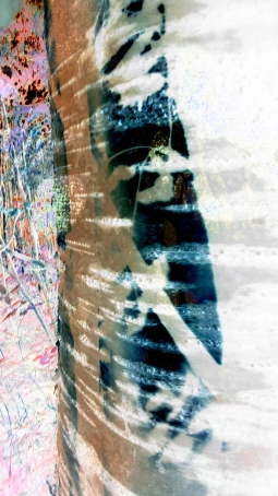 sosiaalinen älykkyys_020816