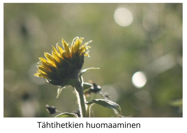 Tähtihetkien huomaaminen