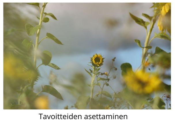 Tavoitteidein asettaminen