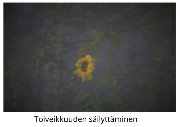 Toiveikkuuden säilyttäminen