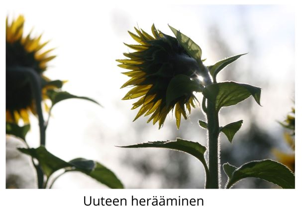 Uuteen herääminen