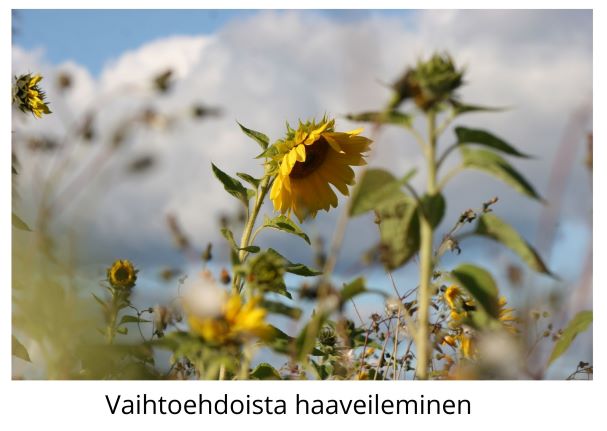 Vaihtoehdoista haaveileminen