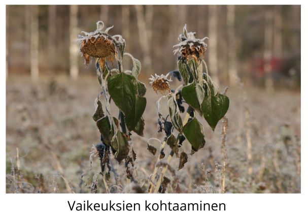 Vaikeuksien kohtaaminen