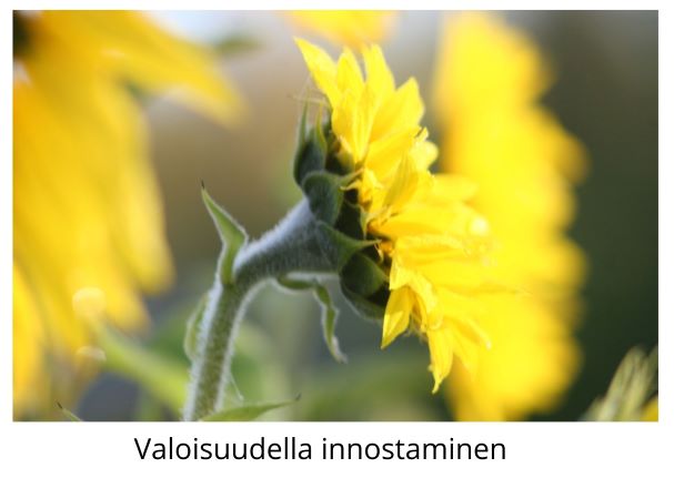 Valoisuudella innostaminen