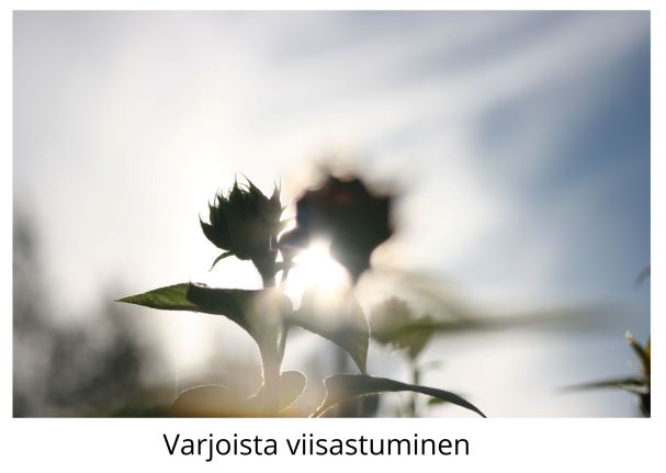 Varjoista viisastuminen