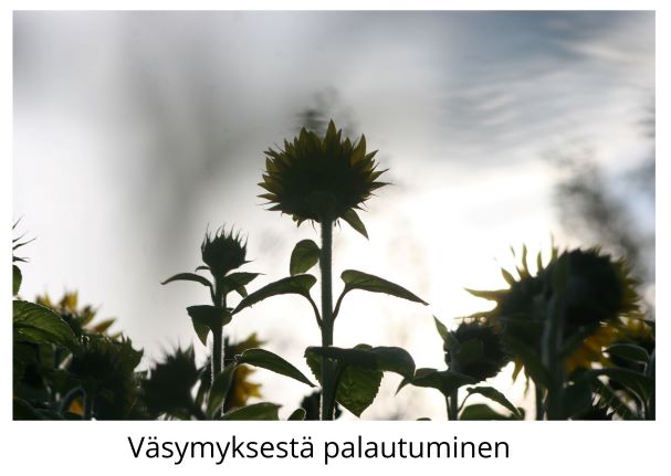 Väsymyksestä palautuminen