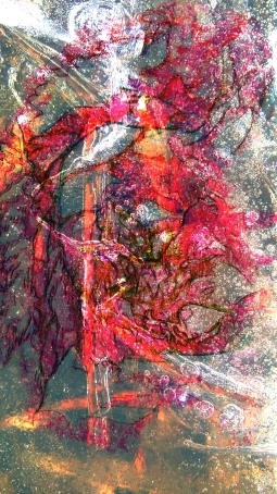 ystävällisyys_020816